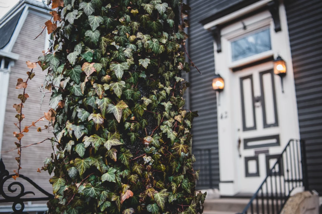 EXPERT PROPERTY MANAGEMENT IN CALDWELL NJ FOR HASSLE-FREE REAL ESTATE OWNERSHIP